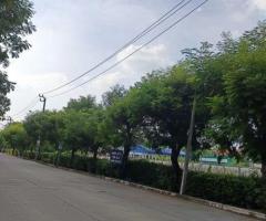 ที่ดินแบ่งแปลงขาย ทำเลสุขาภิบาล5 - Image 2