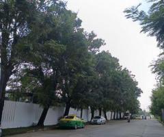 ที่ดินแบ่งแปลงขาย ทำเลสุขาภิบาล5 - Image 3