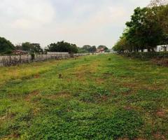 ที่ดินแบ่งแปลงขาย ทำเลสุขาภิบาล5 - Image 4