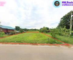 ขายที่ดิน 200 ตรว. ติดถนนลาดยาง ใกล้โนนไทย น้ำไฟพร้อม เพียง 3.7 แสน - Image 2