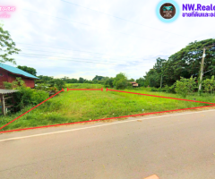 ขายที่ดิน 200 ตรว. ติดถนนลาดยาง ใกล้โนนไทย น้ำไฟพร้อม เพียง 3.7 แสน - Image 3