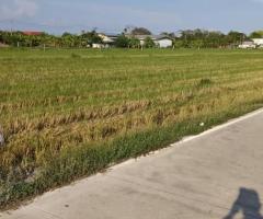 ขายที่ดินเปล่าติดถนนคลอง 9 ลำลูกกา จังหวัดปทุมธานี - Image 4