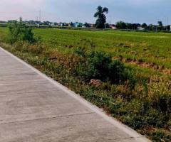 ขายที่ดินเปล่าติดถนนคลอง 9 ลำลูกกา จังหวัดปทุมธานี - Image 5