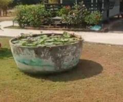 หาเจ้าของใหม่บ้านสวนสไตล์รีสอร์ท นครนายก – พื้นที่แห่งความสุขใกล้ชิดธรรมชาติ - Image 2